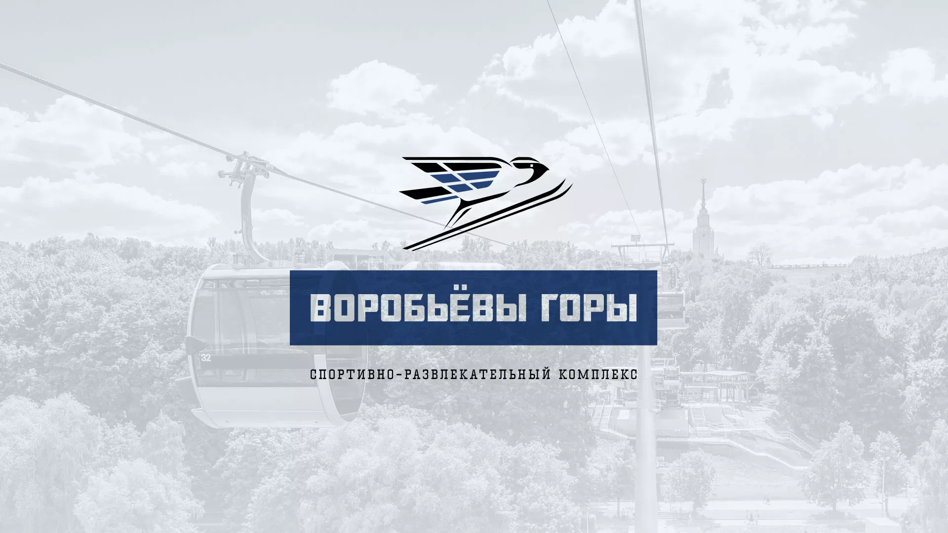Разработка сайта в Дагестанских Огнях для спортивно-развлекательного комплекса «Воробьёвы горы»