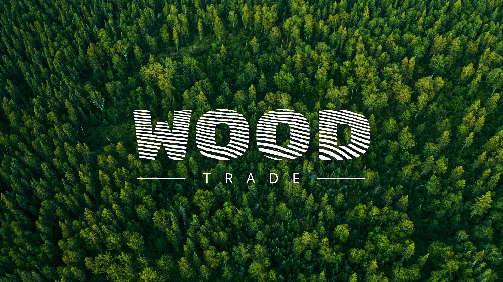 Разработка интернет-магазина компании «Wood Trade» в Дагестанских Огнях