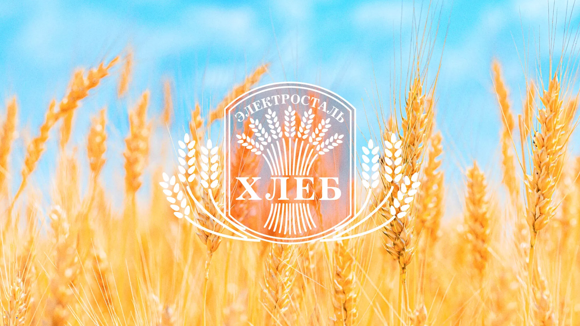 Создание сайта для хлебзавода в Дагестанских Огнях