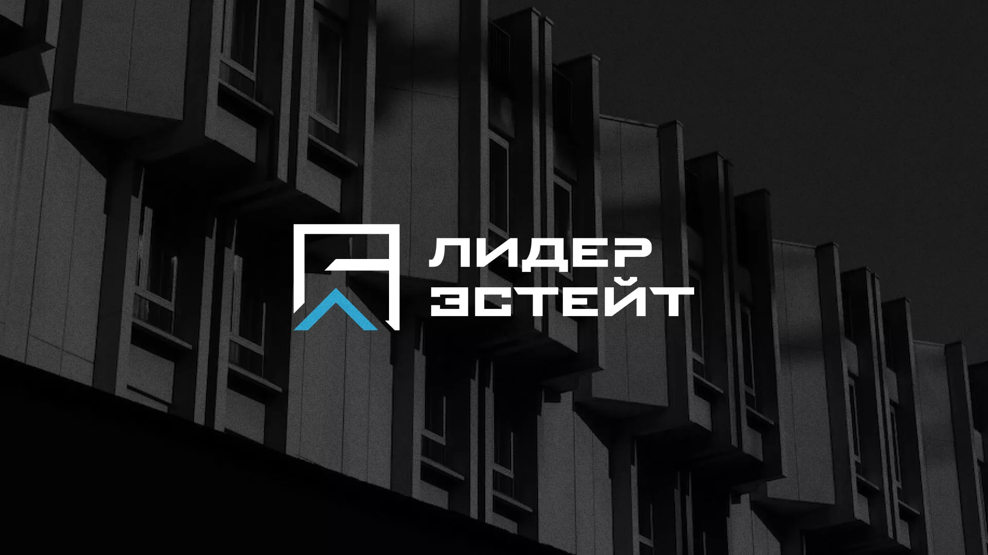 Разработка логотипа агентства недвижимости «Лидер Эстейт» в Дагестанских Огнях